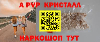 индика Камышлов
