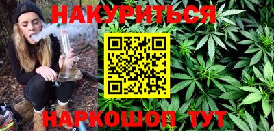 индика Камышлов