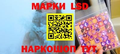 индика Камышлов