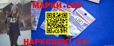 индика Камышлов