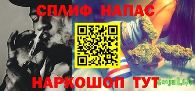 индика Камышлов