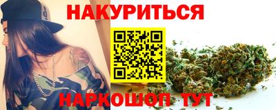 индика Камышлов