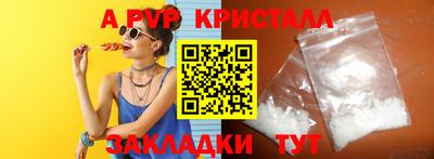 индика Камышлов