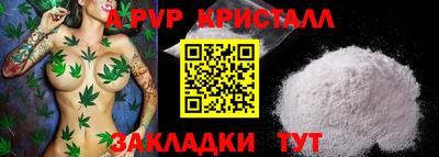 индика Камышлов