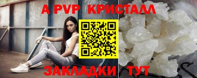 индика Камышлов