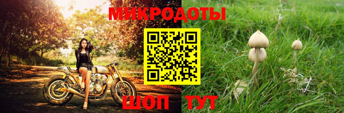 Галлюциногенные грибы MAGIC MUSHROOMS Видное