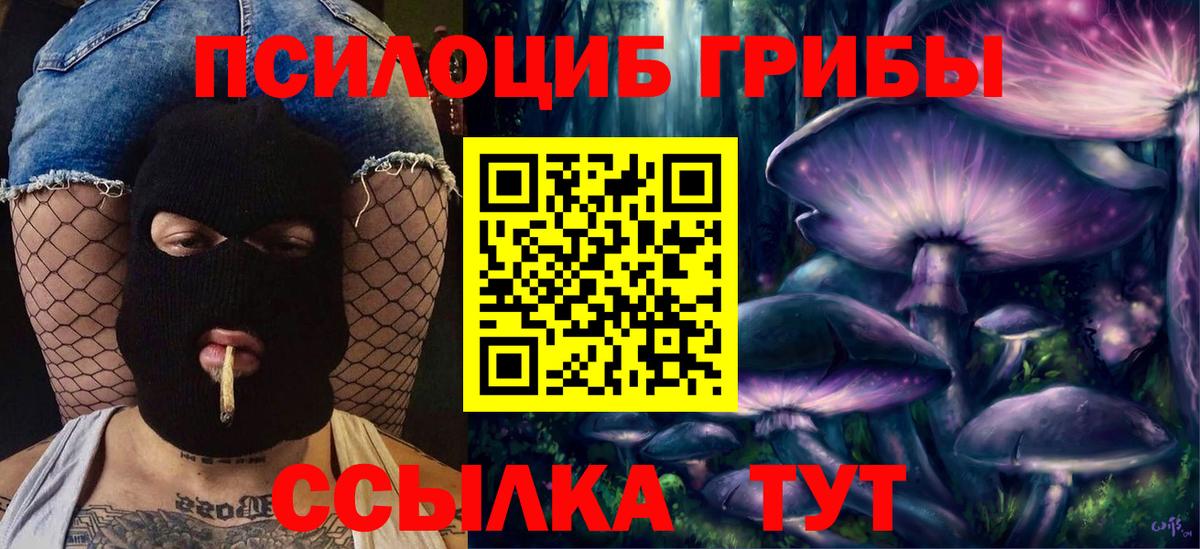 Псилоцибиновые грибы MAGIC MUSHROOMS  Вход с VPN  Видное  купить наркоту  Галлюциногенные грибы Psilocybine cubensis 